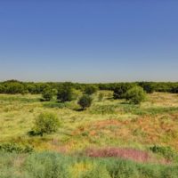 texas_landscape