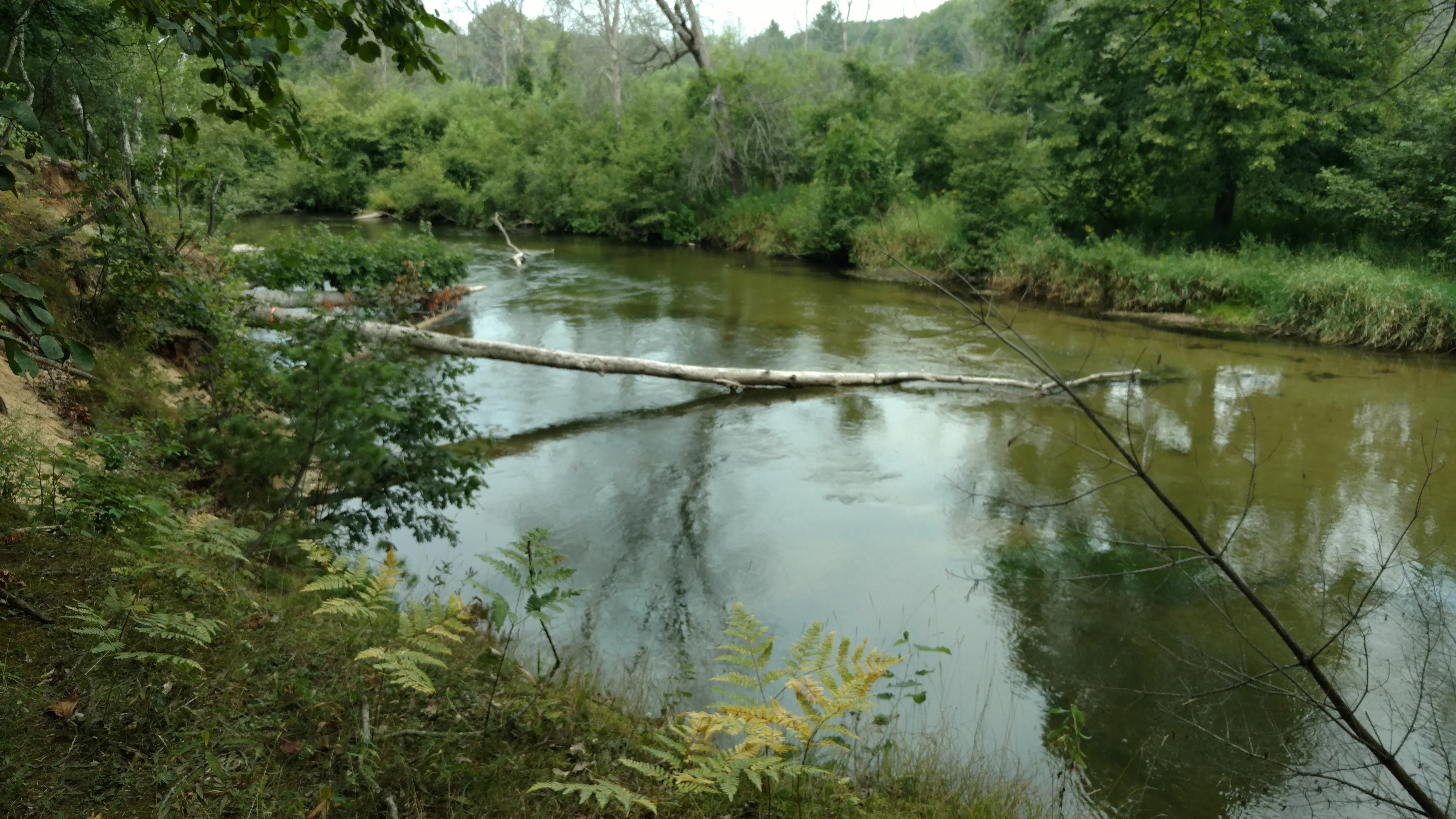 5 acres Recreational Land Mason County, MI Land And Farm