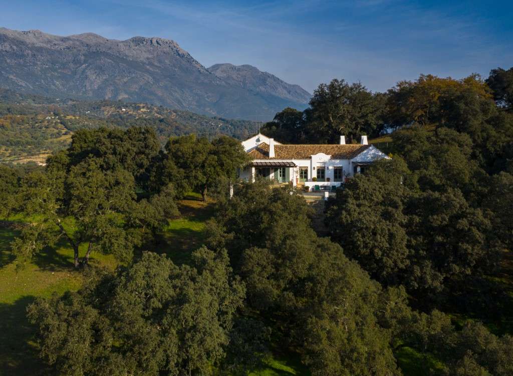 listing-68f7afecbf70f-ExceptionalCountryEstateAndaluciaSpain_01.jpg