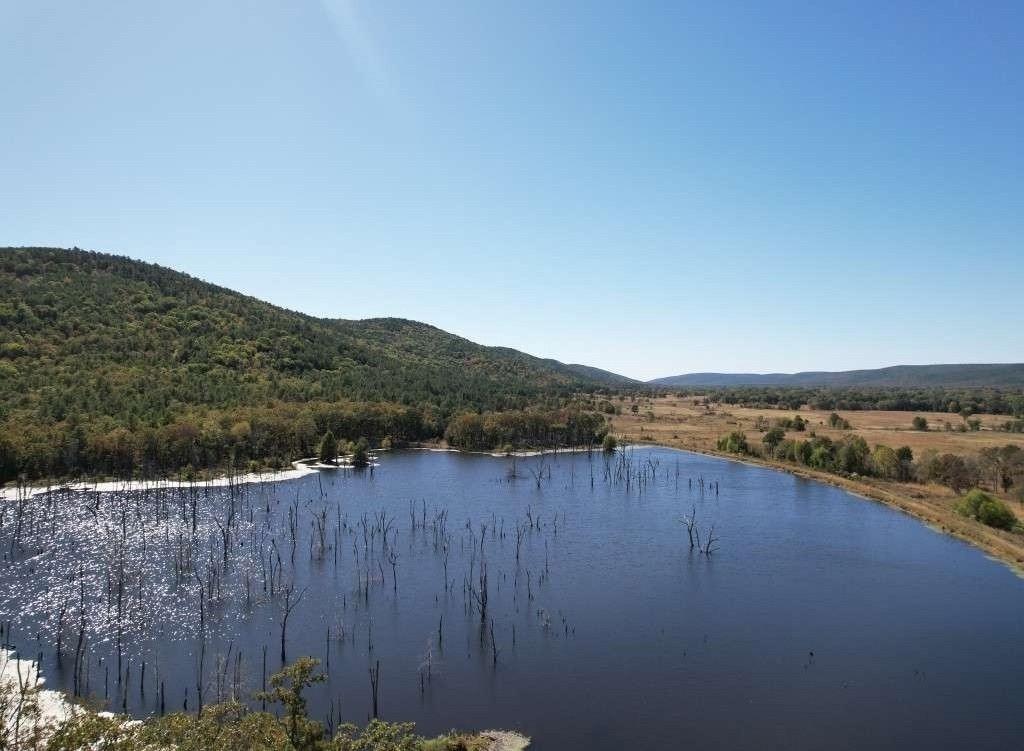 listing-693352d538557-dji_fly_20251021_141356_559_1761082256611_photo.JPG