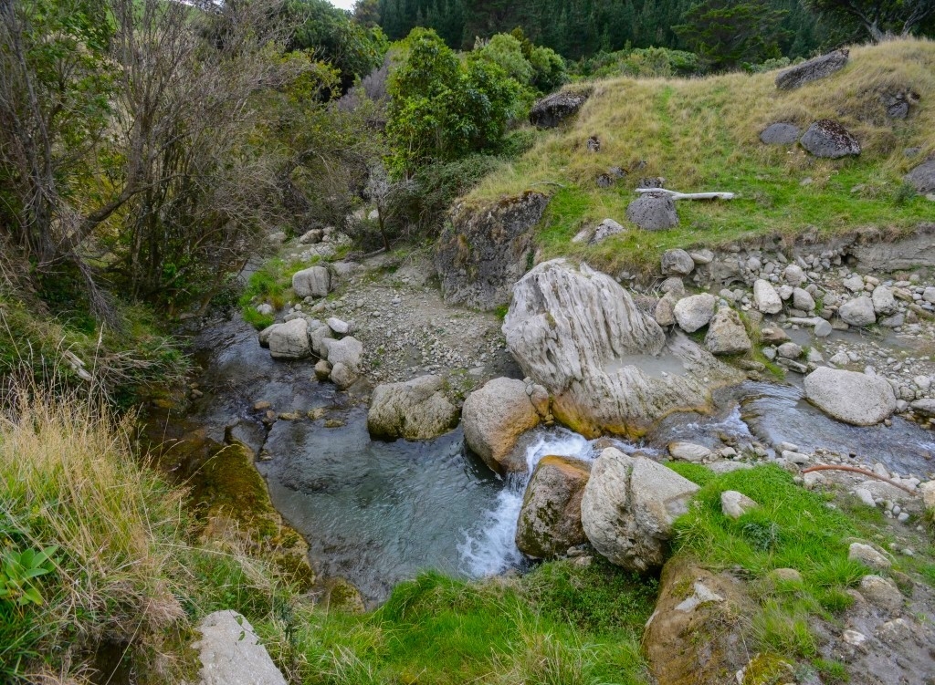 listing-69a8b1cea9f91-QuintessentiallyRuralHastingsNewZealand_05.jpg