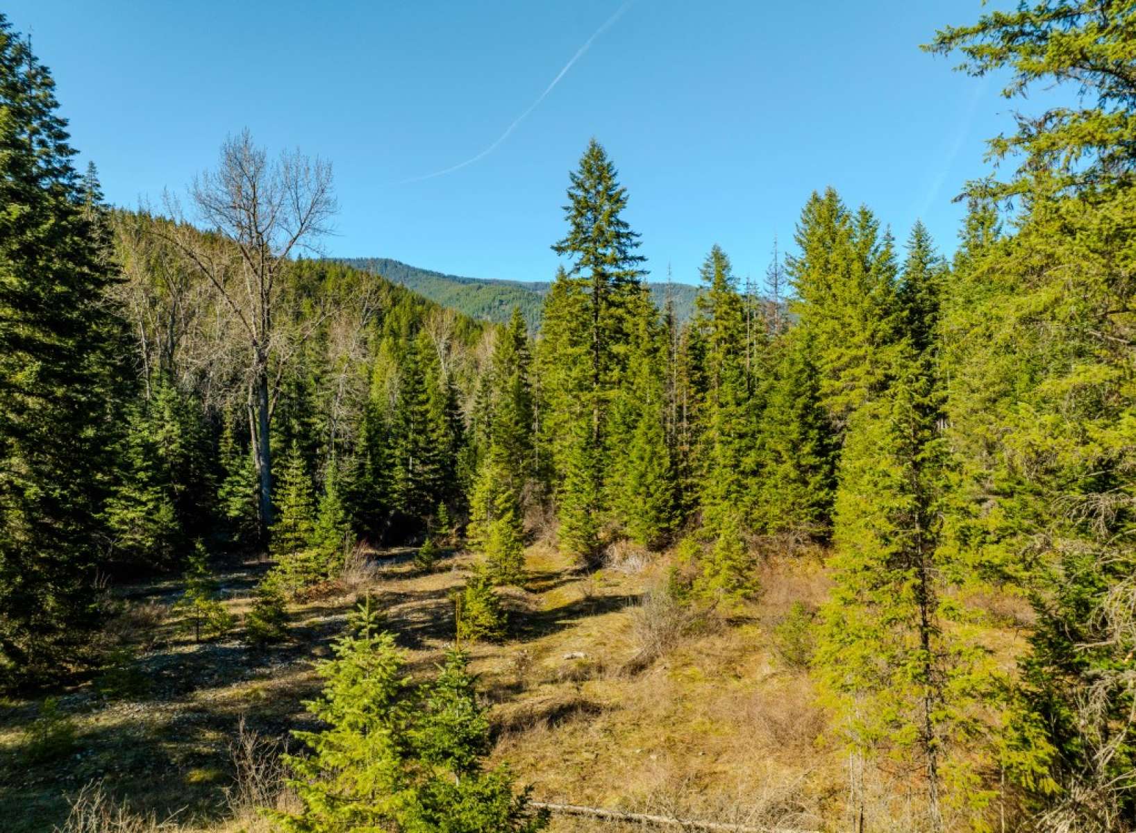 listing-69dd6405464c9-63-DJI_0476.jpg