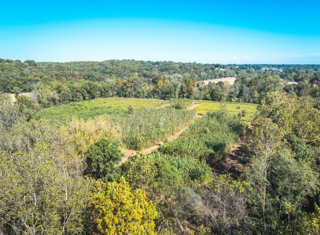 listing-69f0b61d7101c-DJI_20251010081423_0844_D.jpg