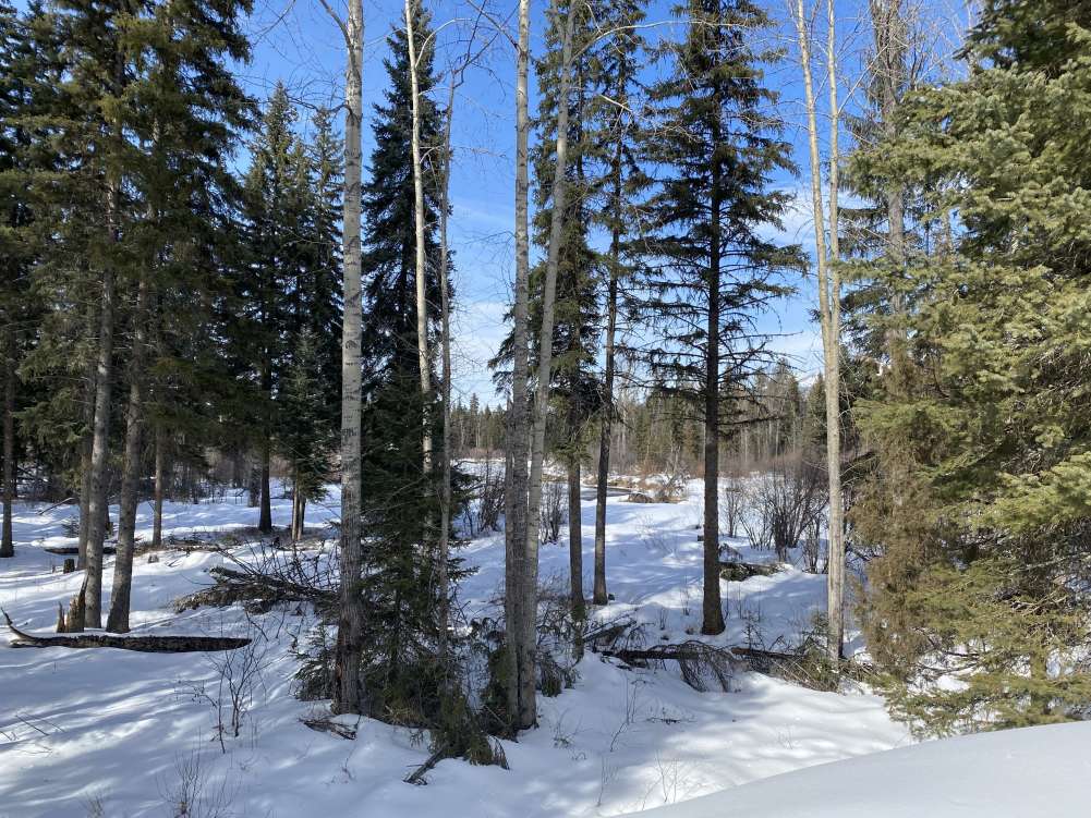 Property Image 63