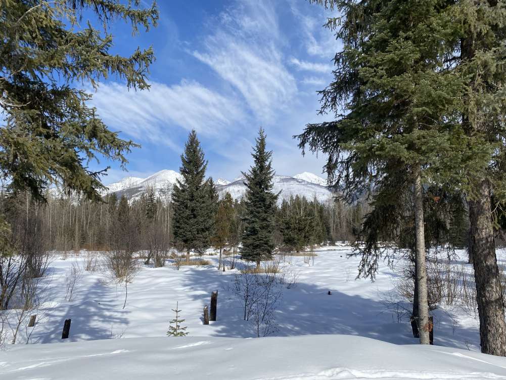 Property Image 65