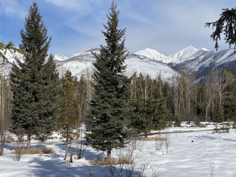 Property Image 66