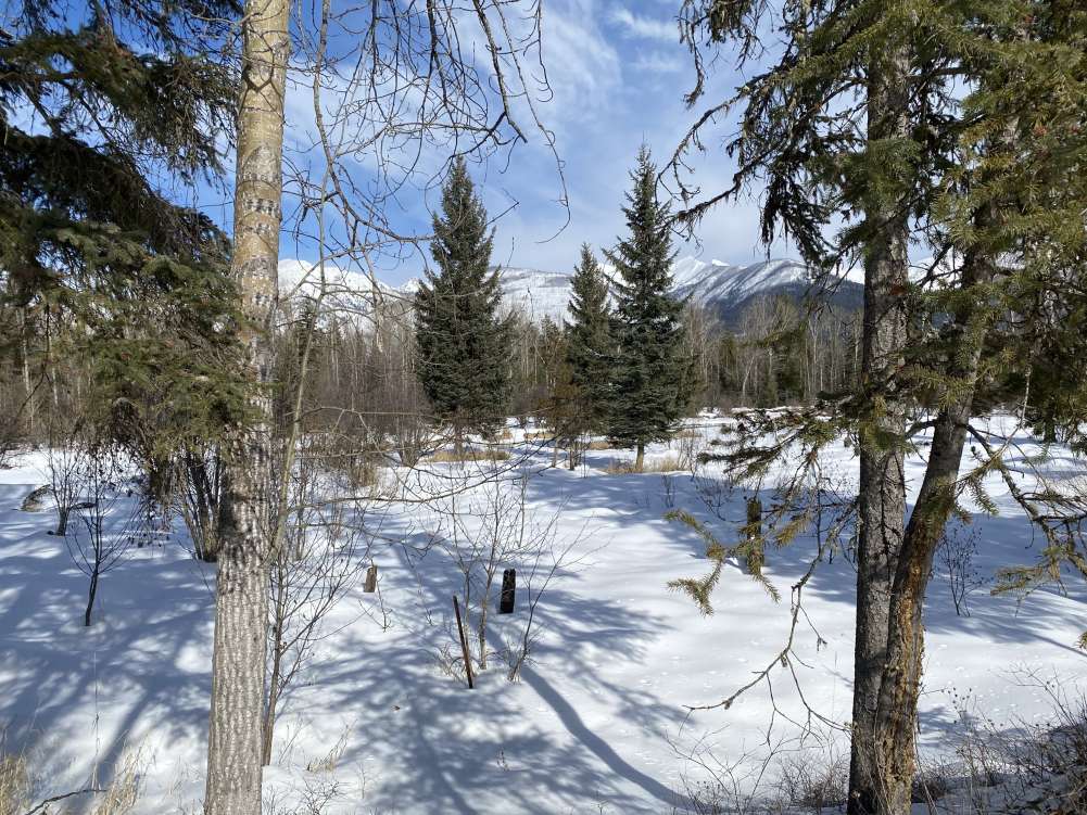 Property Image 67