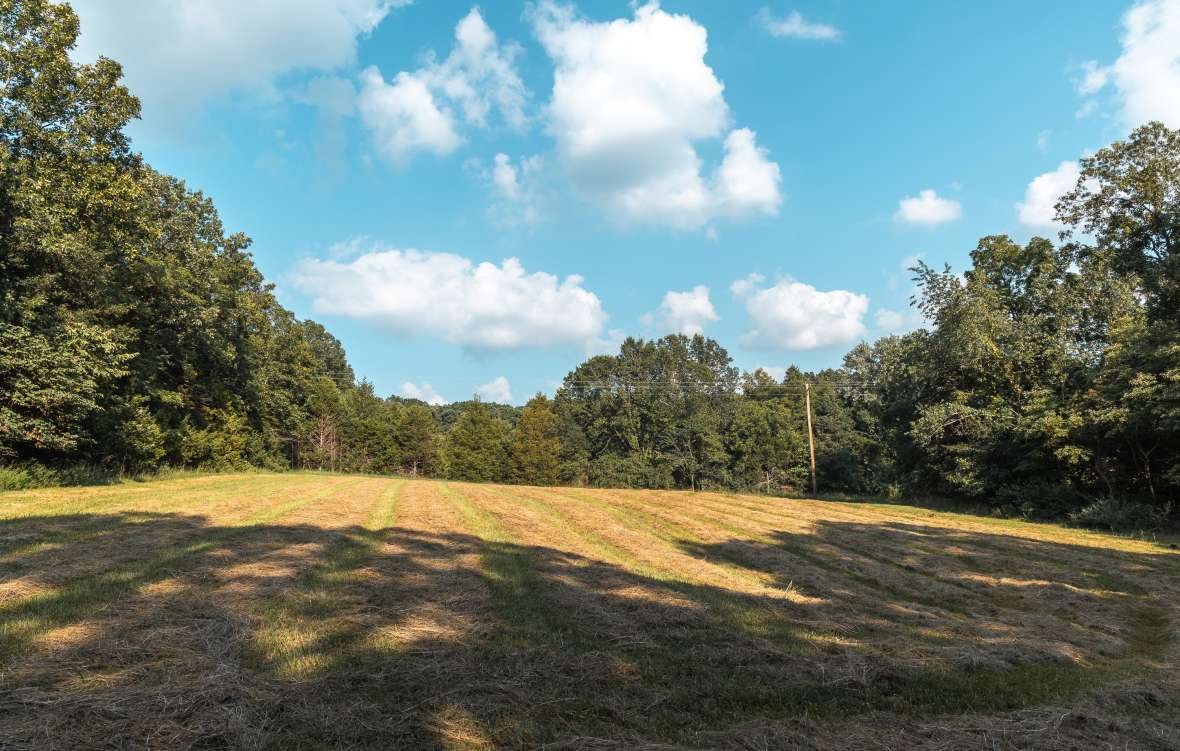 Property Image 65