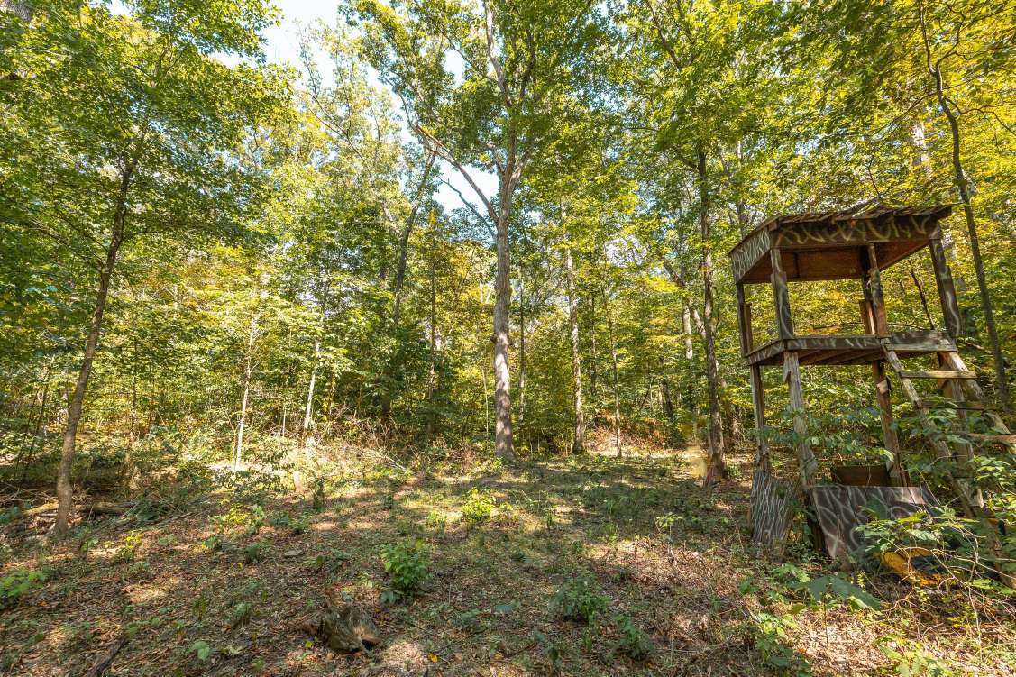 Property Image 46