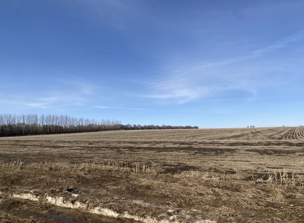 Prairie Perfection