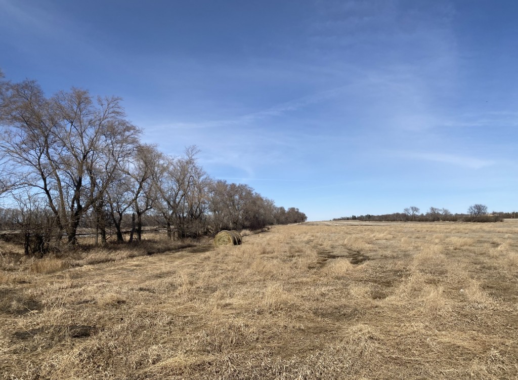 Prairie Perfection