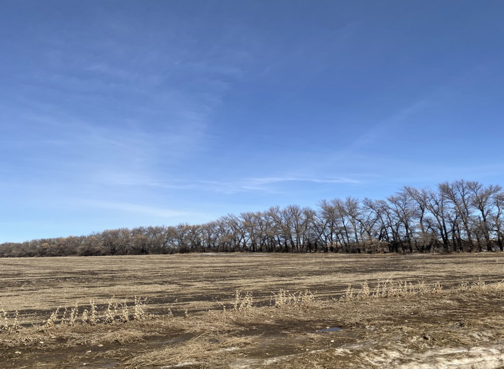 Prairie Perfection
