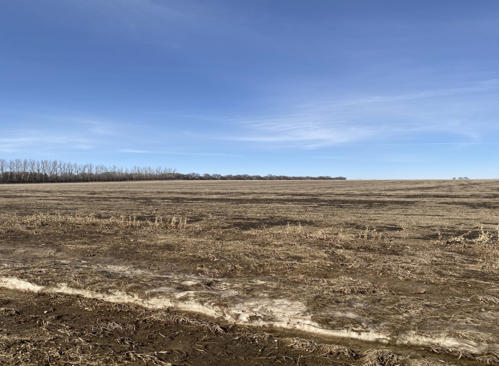 Prairie Perfection