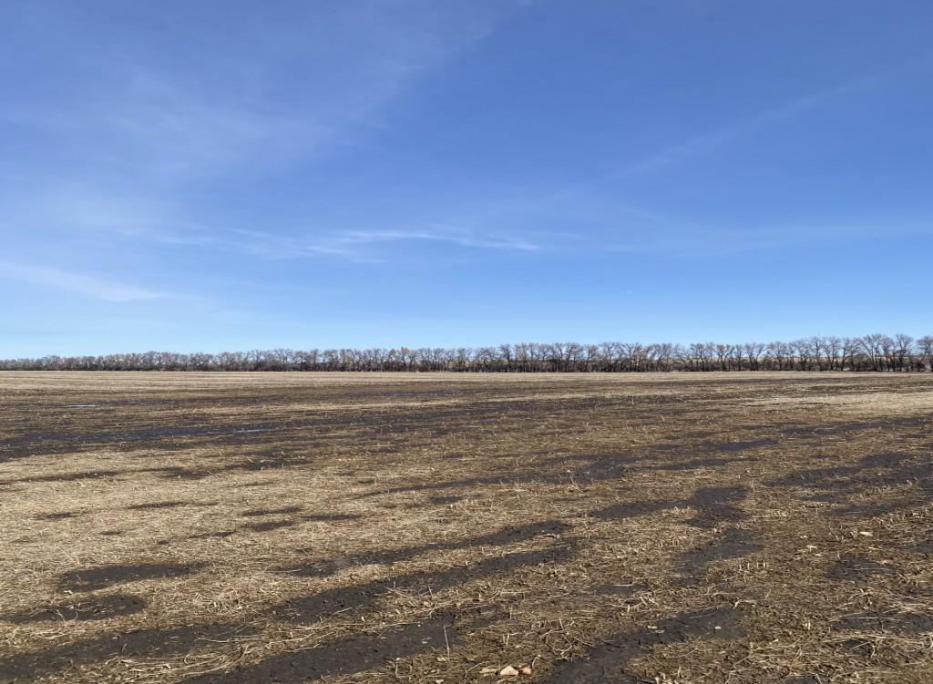 Prairie Perfection
