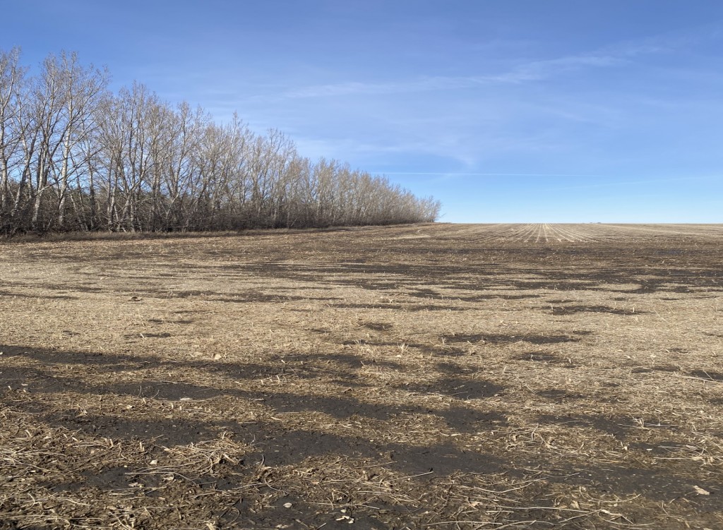 Prairie Perfection