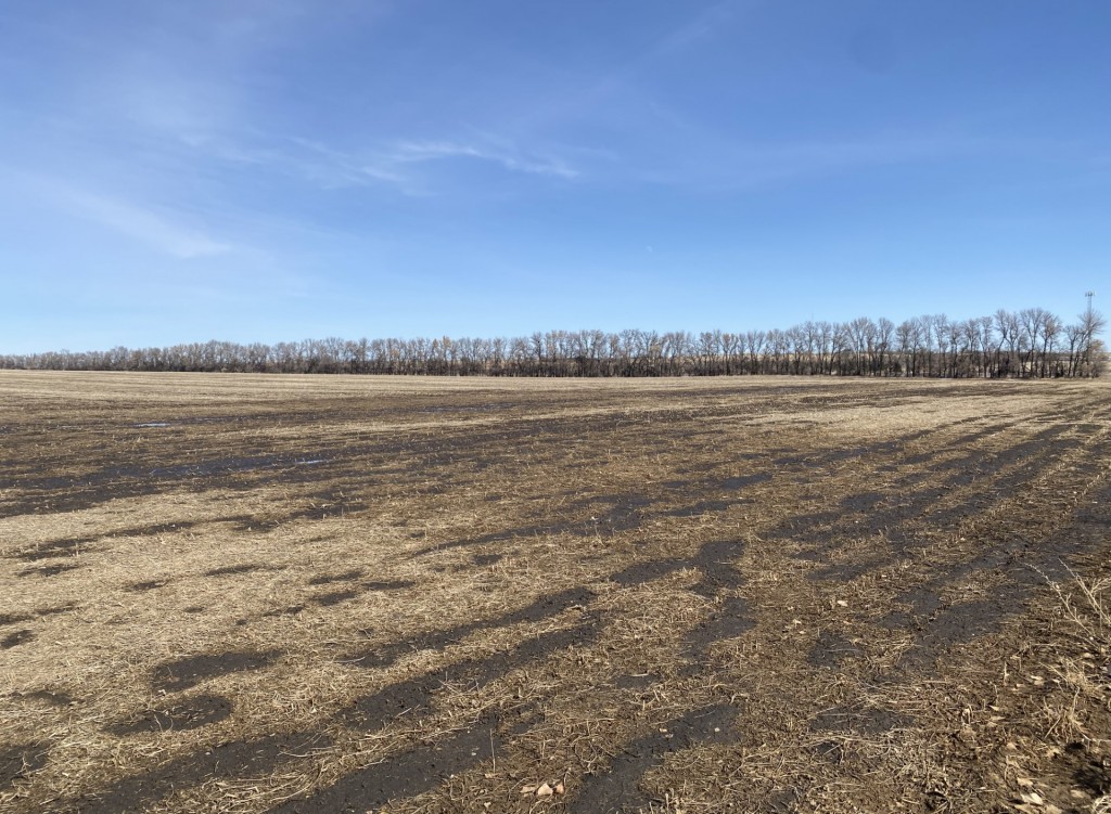 Prairie Perfection