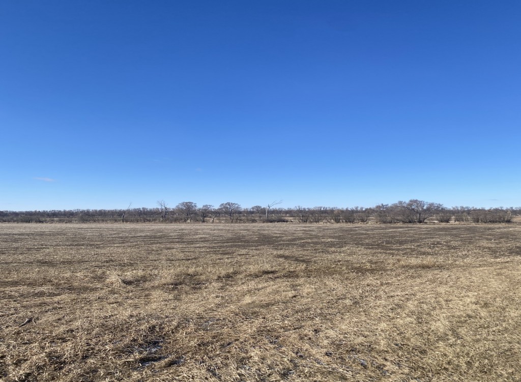 Prairie Perfection