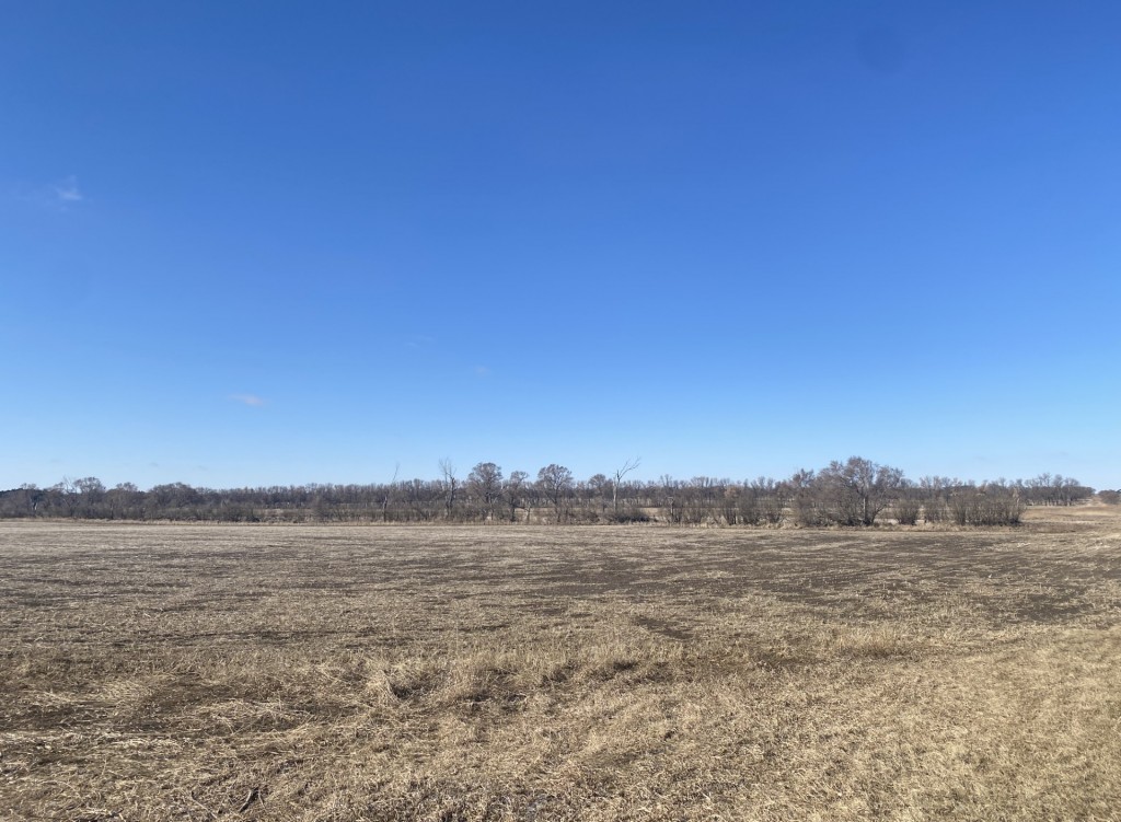 Prairie Perfection