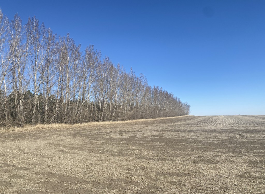 Prairie Perfection
