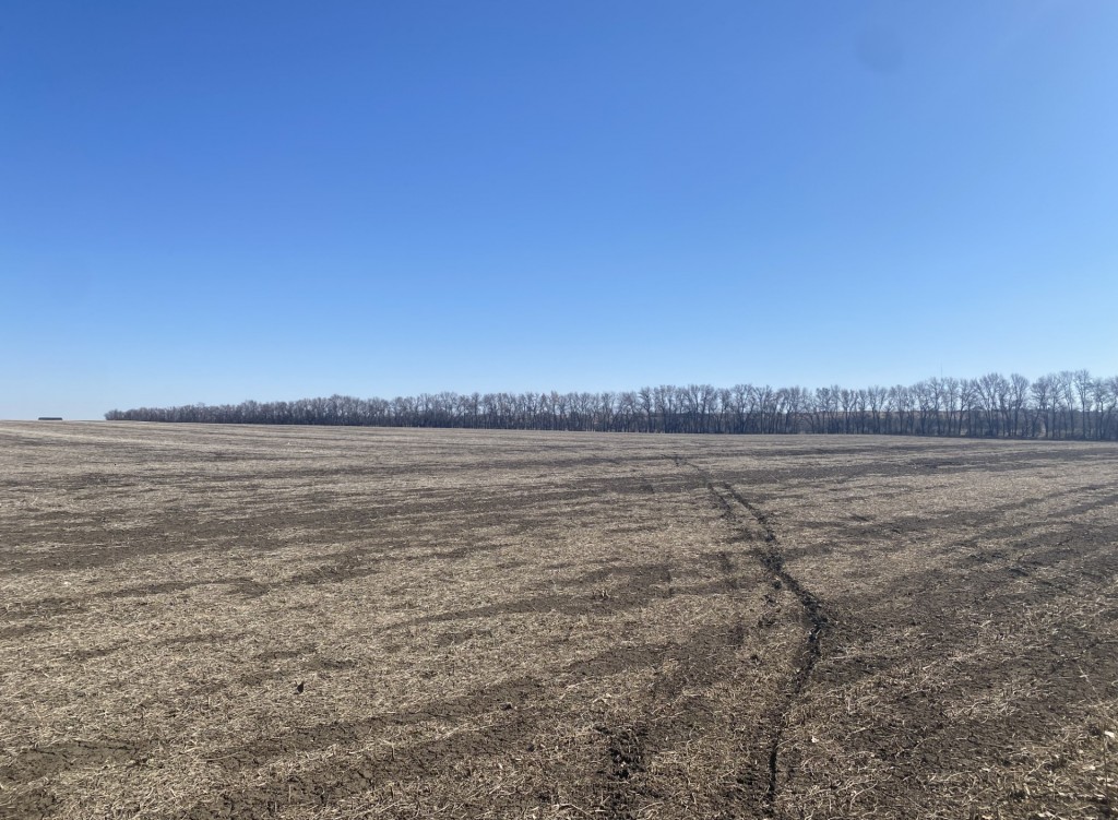 Prairie Perfection