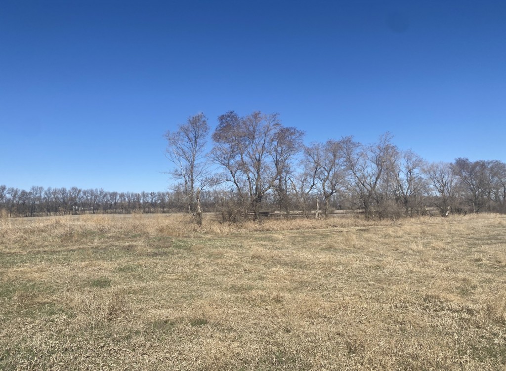 Prairie Perfection
