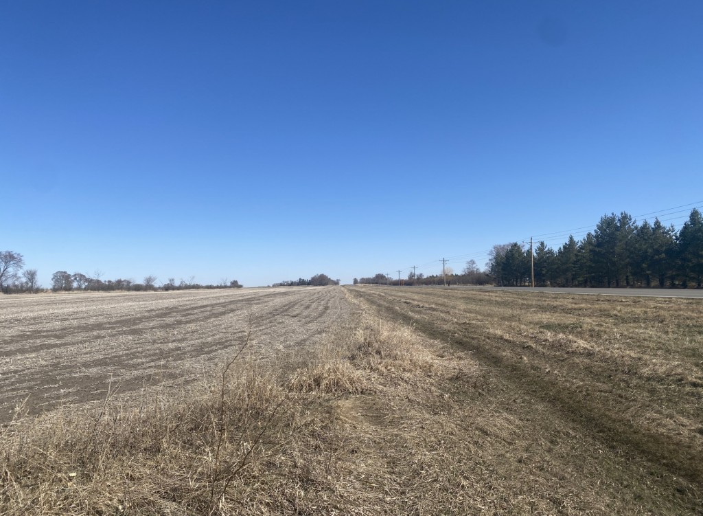 Prairie Perfection