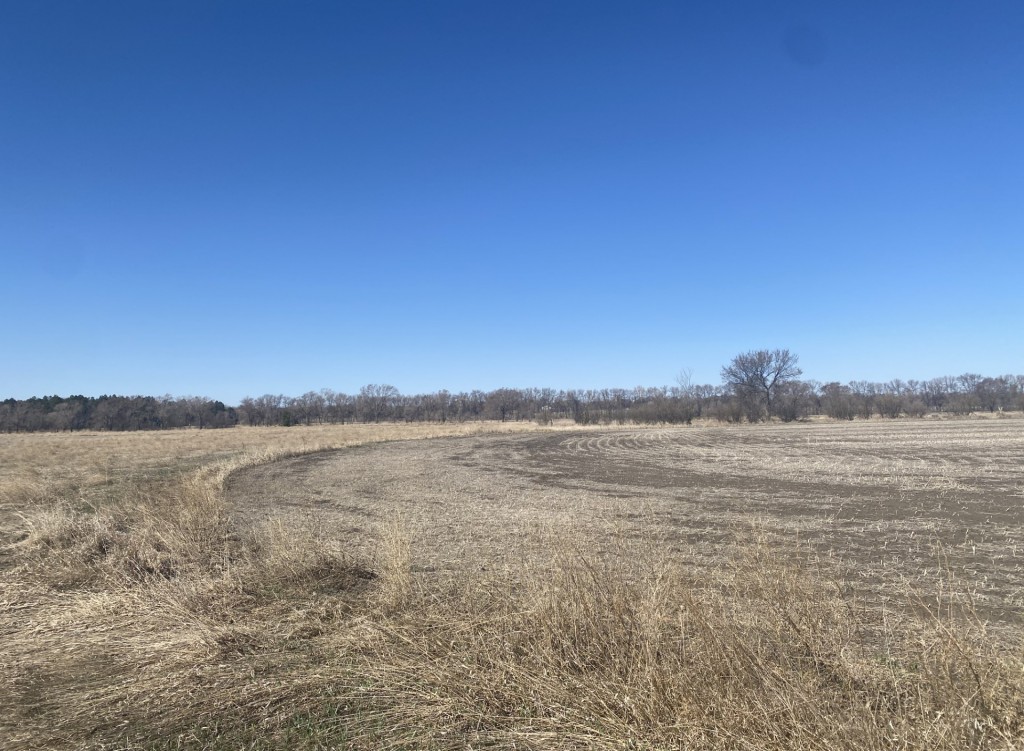 Prairie Perfection