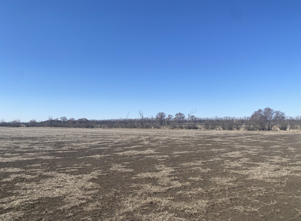 Prairie Perfection