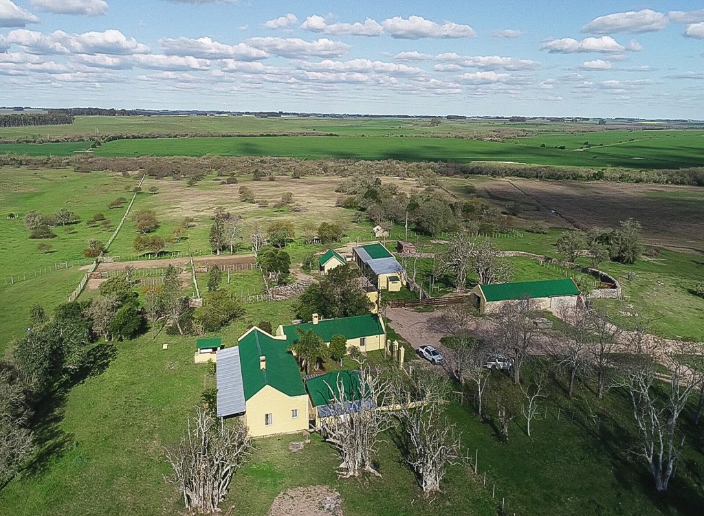Uruguay Farm