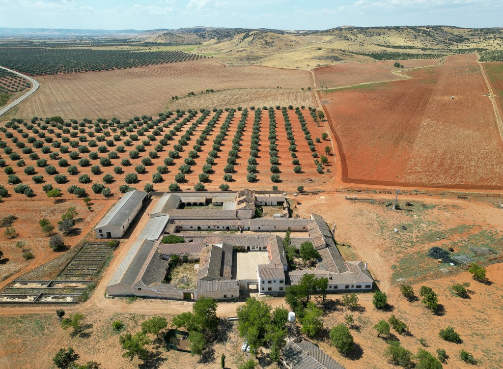 Productive Agricultural Estate