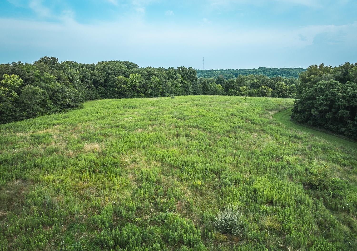 9070 Deer Run Lane