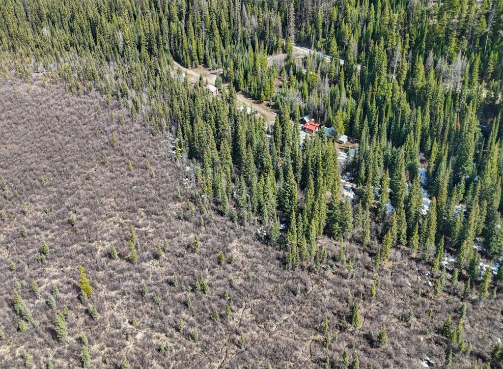 Logan Creek Cabin