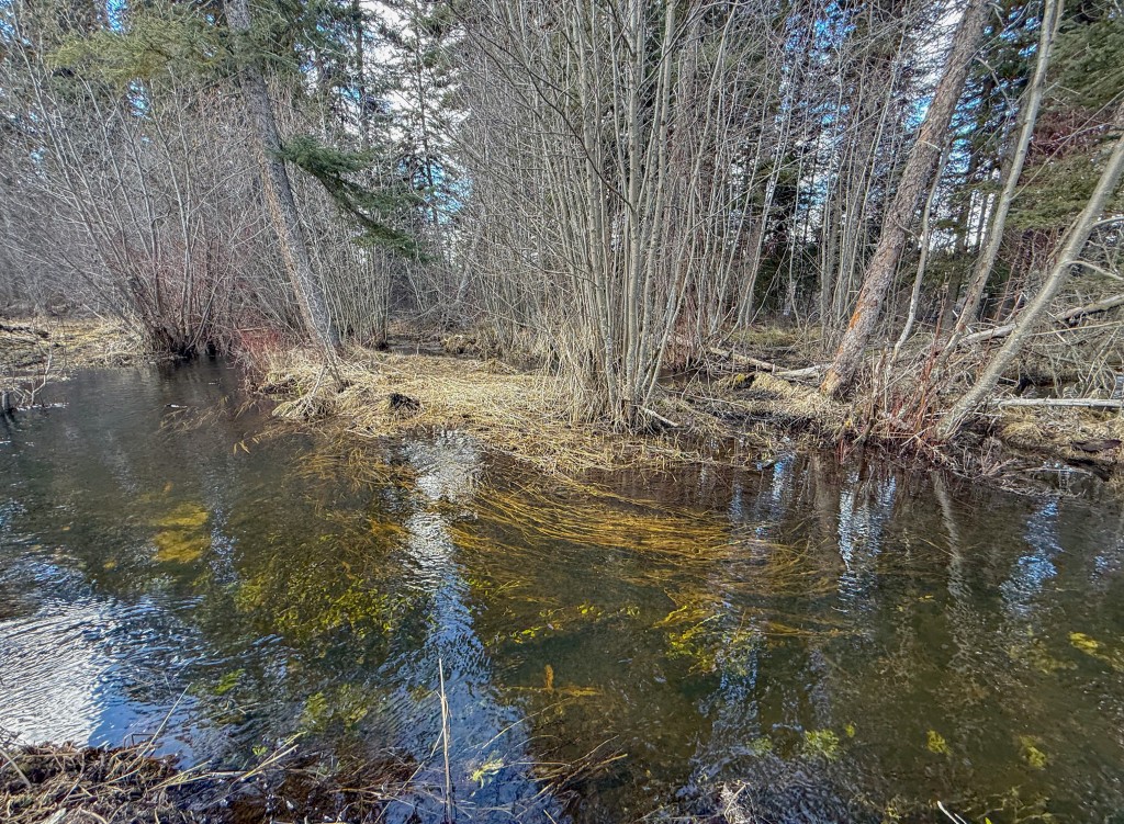 Logan Creek Cabin