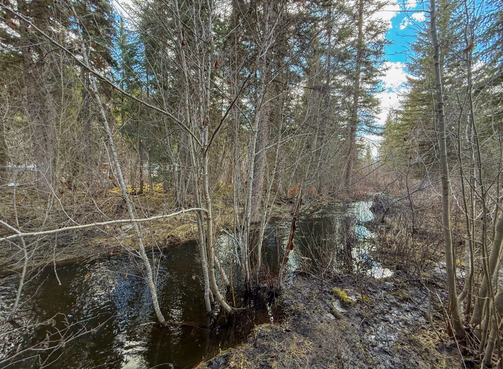 Logan Creek Cabin