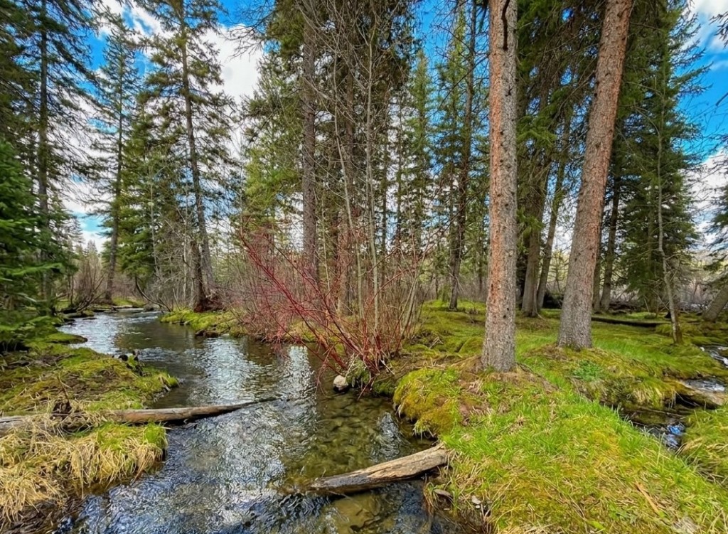 Logan Creek Cabin