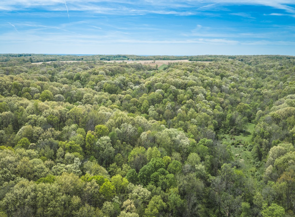 17816 Powerline Rd. Grafton, IL