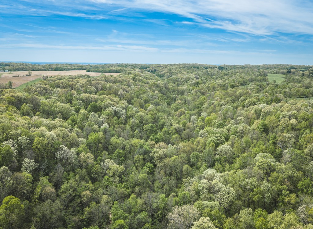 17816 Powerline Rd. Grafton, IL