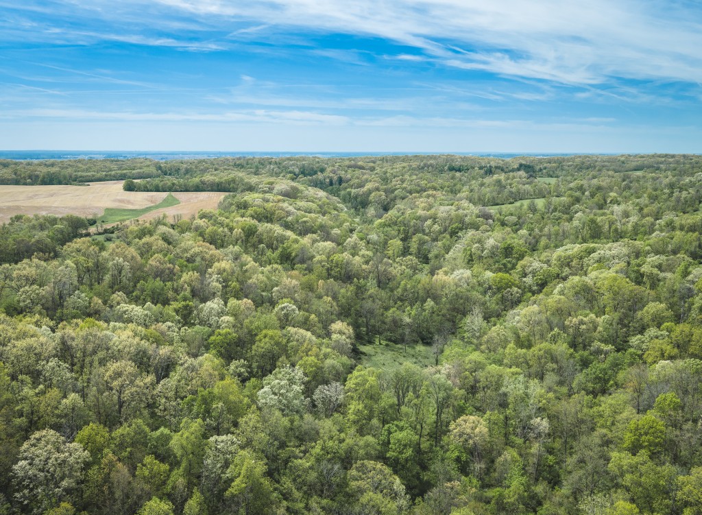 17816 Powerline Rd. Grafton, IL