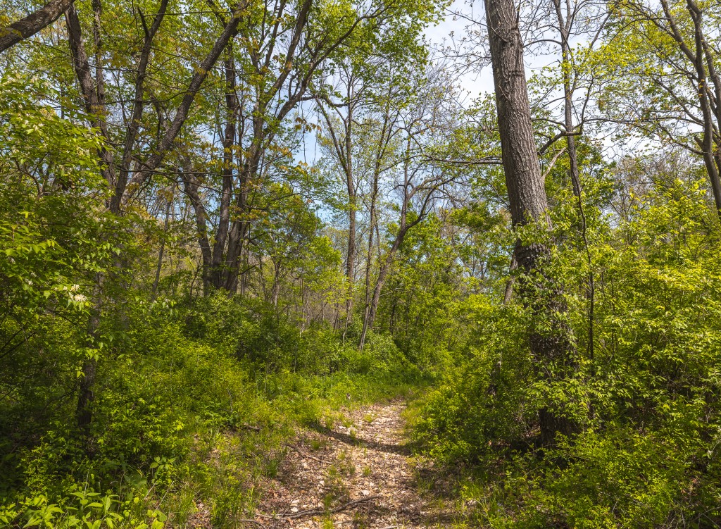 17816 Powerline Rd. Grafton, IL