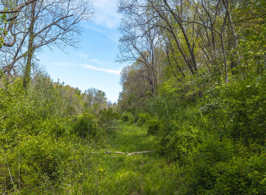 17816 Powerline Rd. Grafton, IL