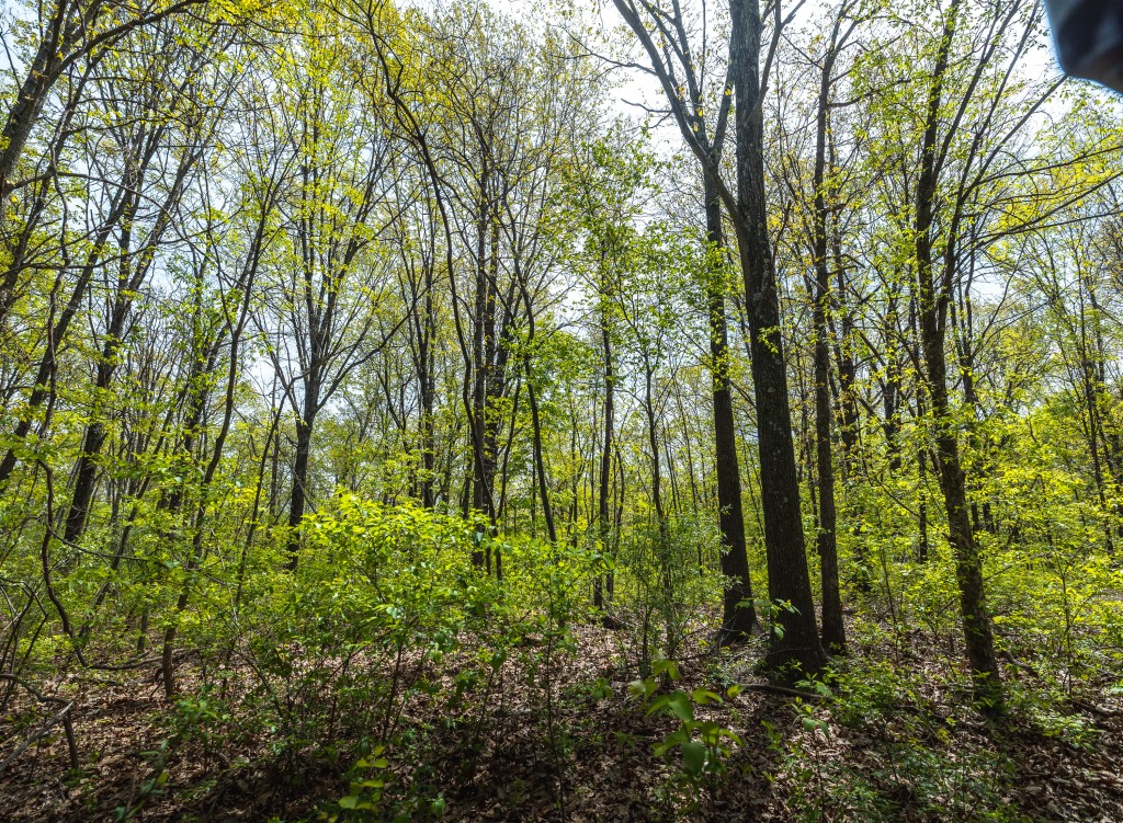 17816 Powerline Rd. Grafton, IL