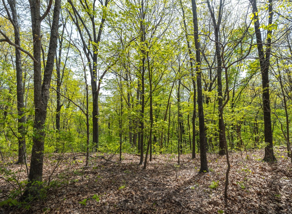 17816 Powerline Rd. Grafton, IL