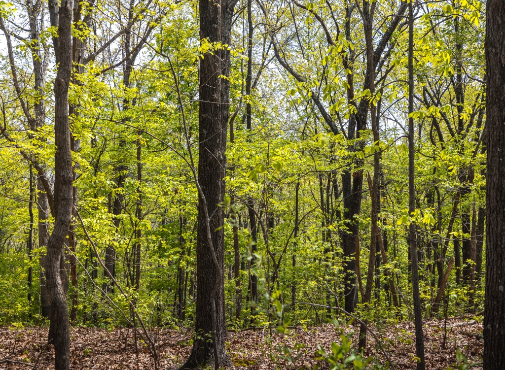17816 Powerline Rd. Grafton, IL
