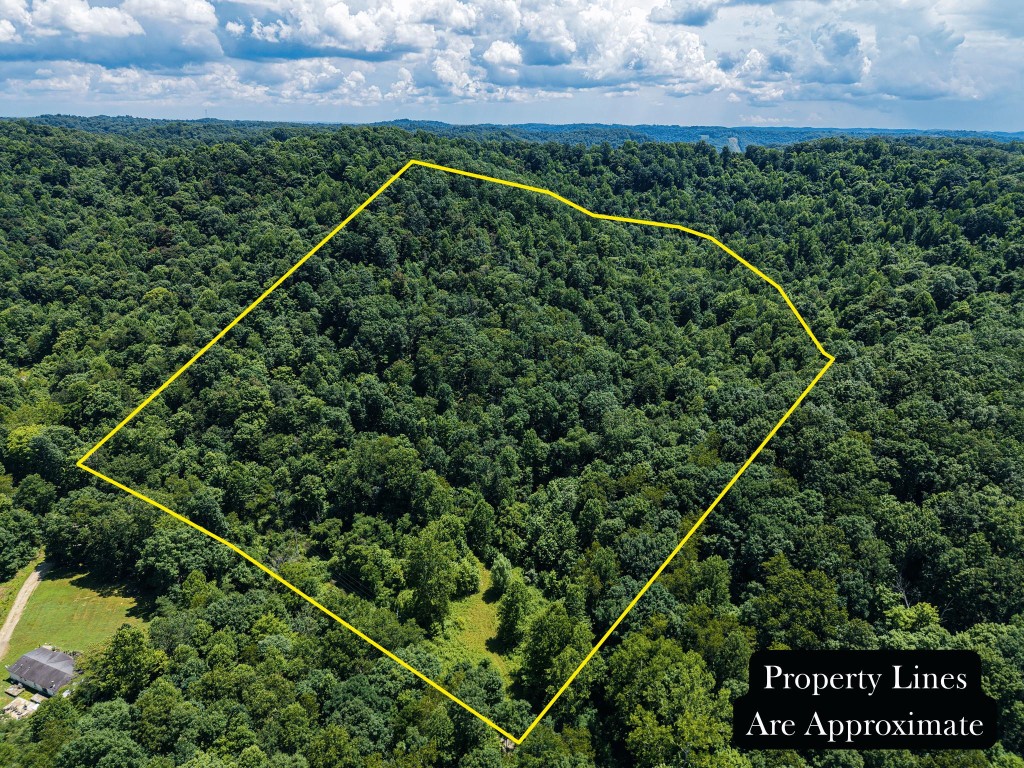 3247 Mcnamer Brown Road