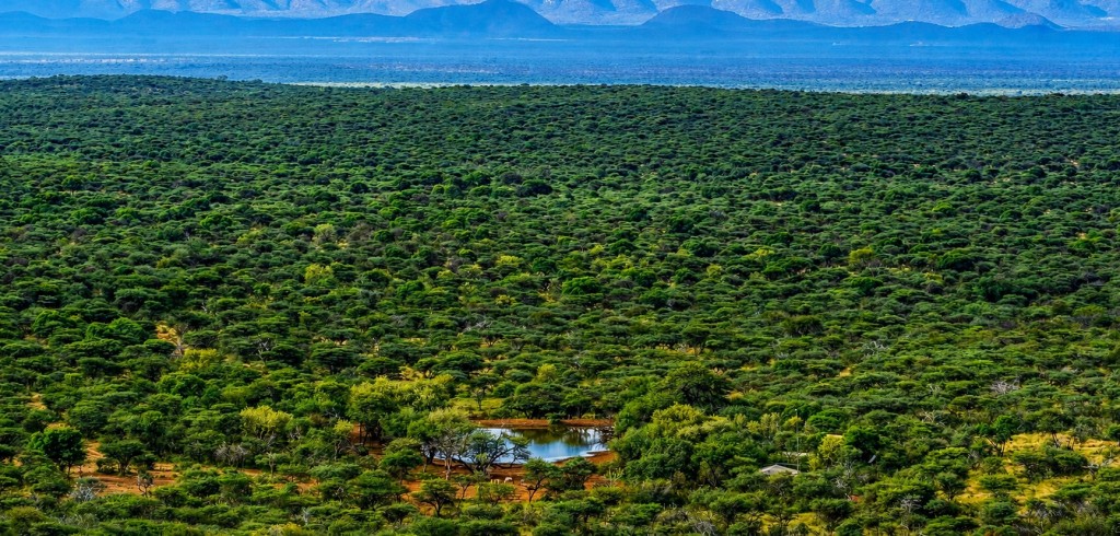 High-Quality Private Game Reserve