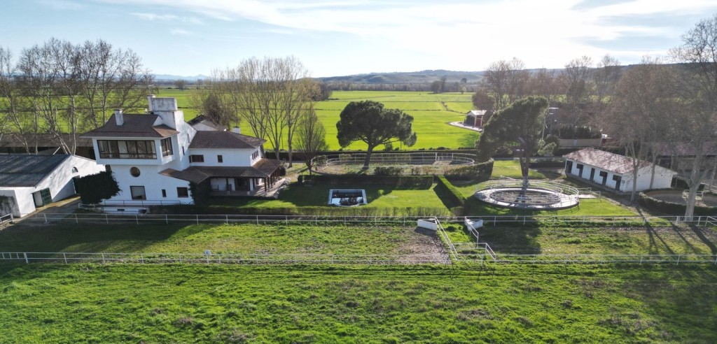 Top Level Equestrial Property