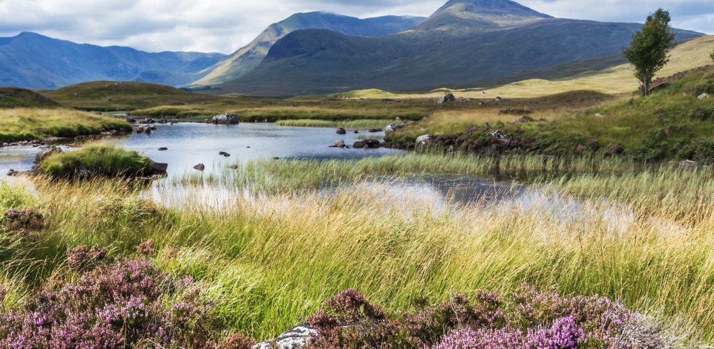 Scotland Exceptional Sporting Estate
