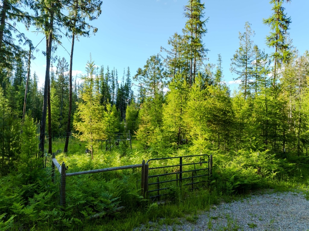 Property Image 66