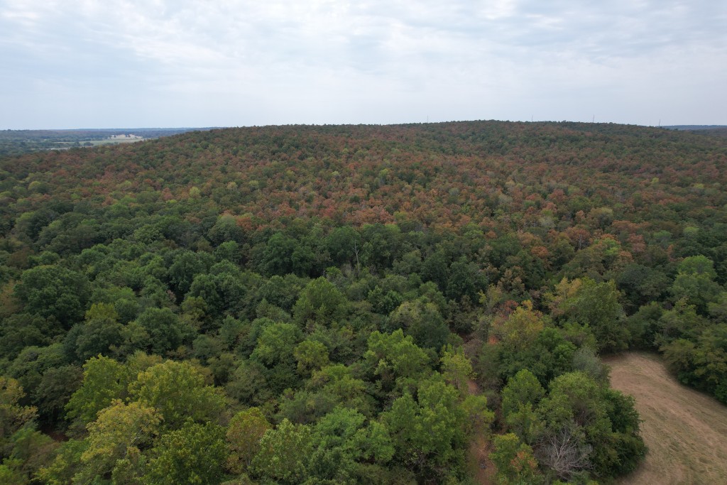 Wilkett Ranch