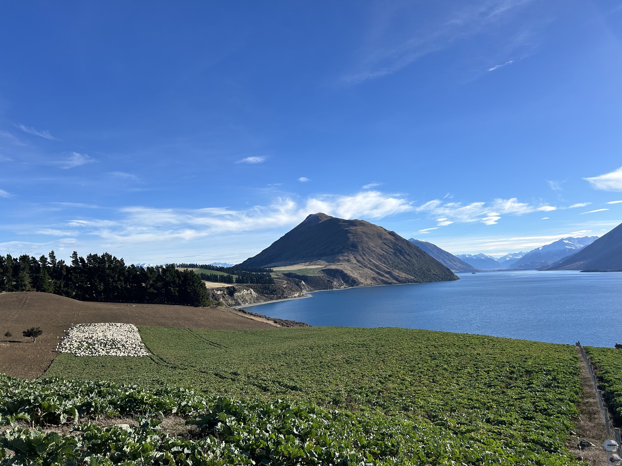 1772812929_2_New Zealand, GB_02.jpg